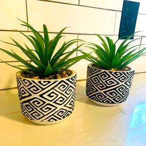 Plant set